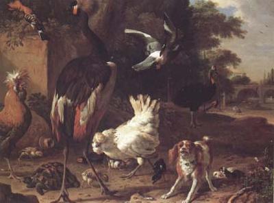 Melchior de Hondecoeter Birds and a Spaniel in a Garden (mk25) Germany oil painting art